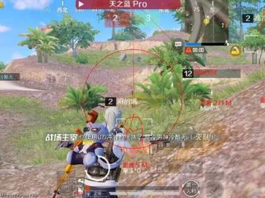 和平精英什么枪是辅助的（和平精英什么枪是副武器）